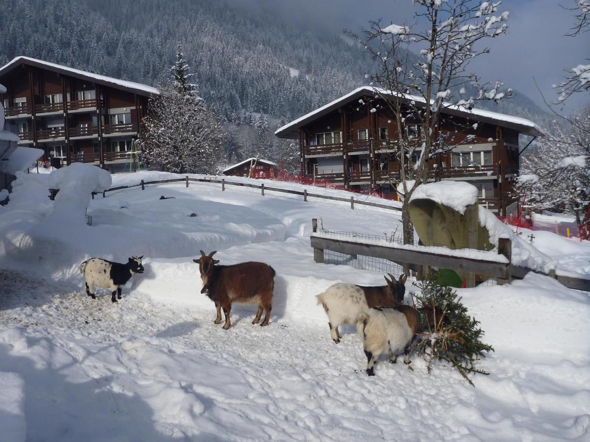 Reka-Feriendorf Lenk Hotell Exteriör bild